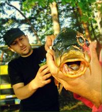 Igor Nestiuk (IgorNestiuk)