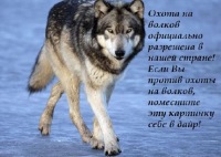 Canis Lupus (id_canis_lupus)