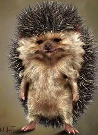 Igorkin Valdemarovich (igorkin-valdemarovich)