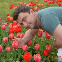 Олег Лысенко (oleg-lыsenko)