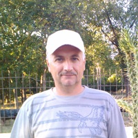 Зеник Балик (zenabrena)