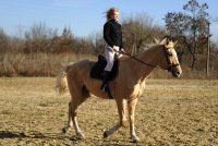 Lesya Shmigelska (lshmigelska), Kielce, Винница