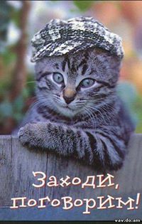 Данечка Данька (ДанечкаДаньк)