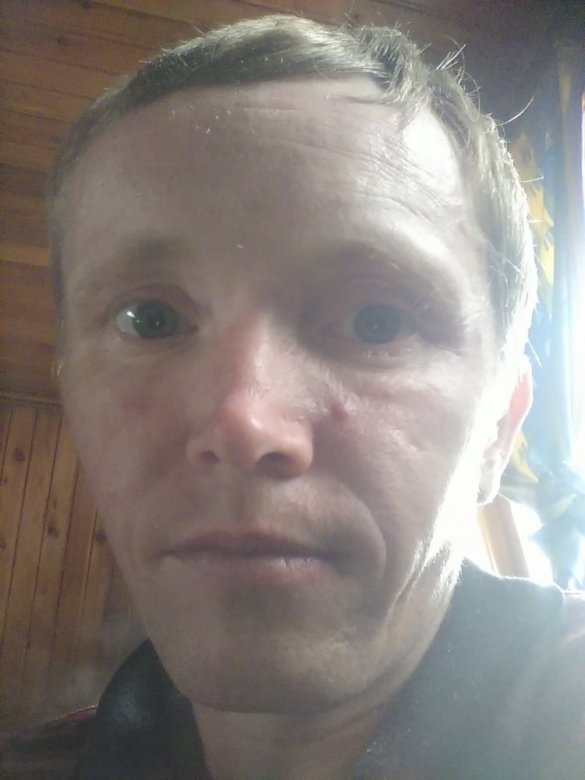 Romautosales  (Romautosales), Malopolska, Volyn