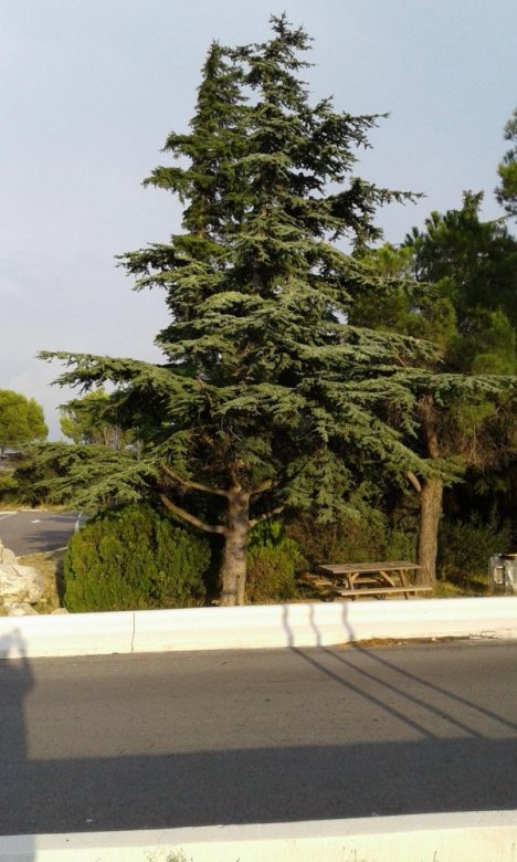 ілля  (ілля), tychy