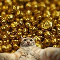 Ruslan Simenovuch (RuslanSimenovuch)