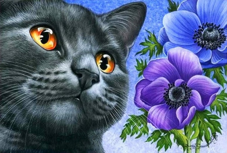 Юрий А  (Юрий А)