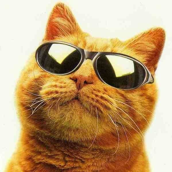 Sergey  Kubara (SergeyKubara), Кемпно, Запорожье