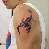 Дима Петров (dima-petrov)