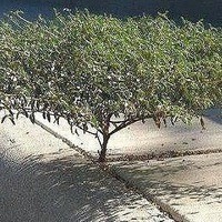 Yura Хз (barmaley_88)