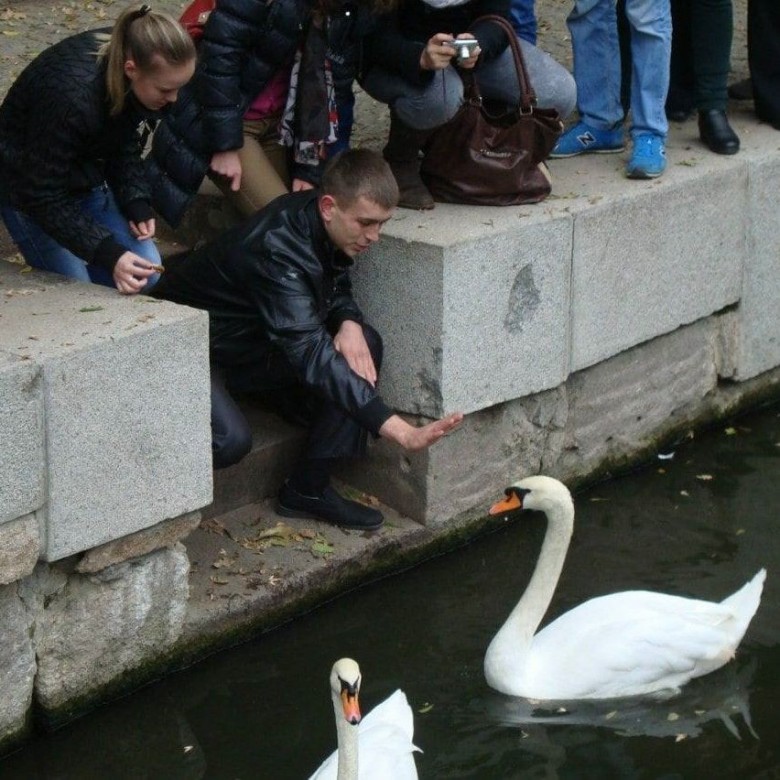 Andryi Olshanetskyi (AndryiOlshanetskyi), Warszawa, Стрий