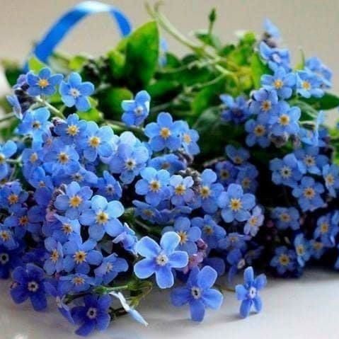 Лена Орищук (ЛенаОрищук), Zhytomyr