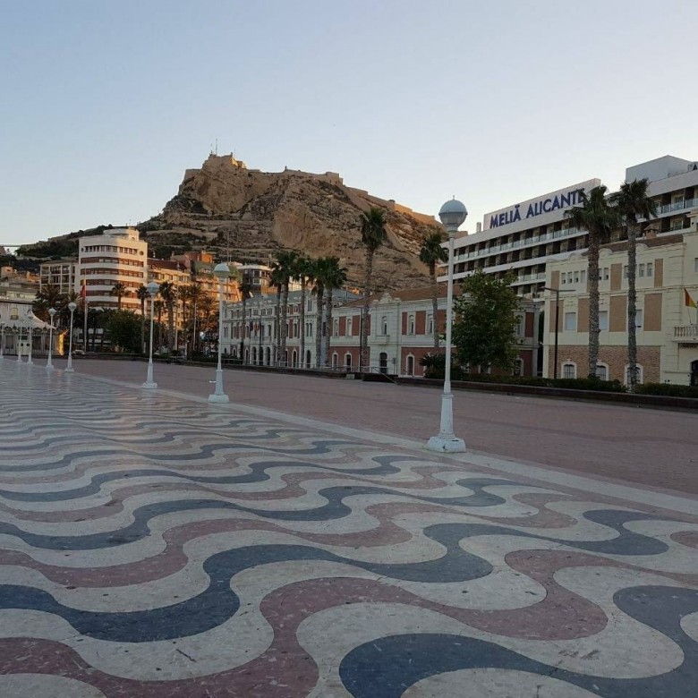 Malik Abbas (MalikAbbas)