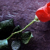 Наталья Житкевич (NataliaZhytkevych)