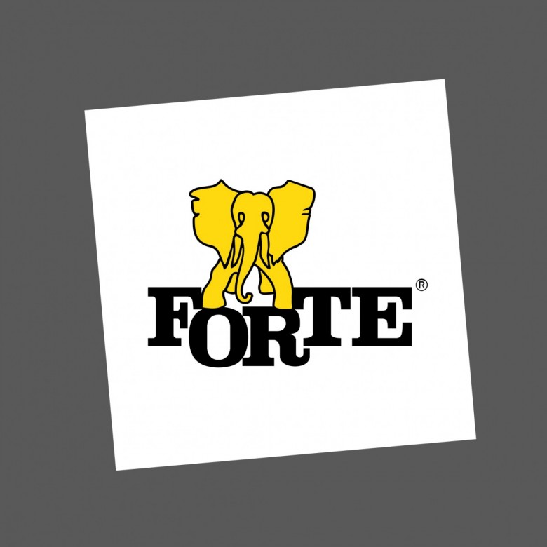 recrutacja.ua@forte.com.p (recrutacja.ua@forte.com.p recrutacja.ua@forte.com.)