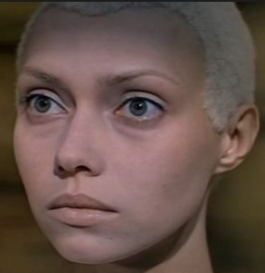 Нийя  (Нийя), Легница, киев