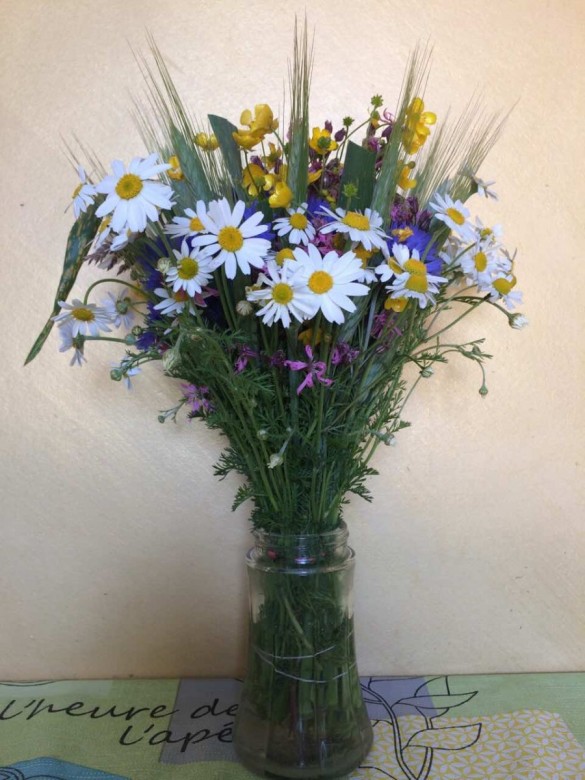 Євген Мельник (ЄвгенМельник), Сіцув, Львів