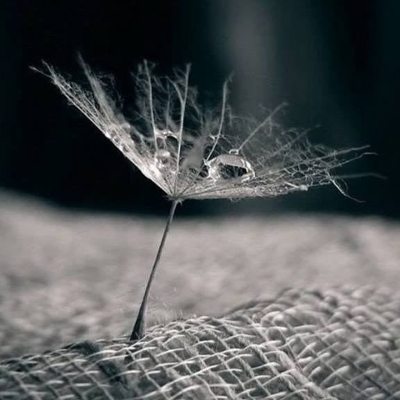 KhokaiIakhokogama (Khokai Iakhokogama)