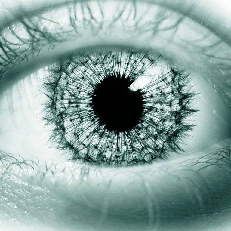 Анна Олексенко (АннаОлексенк)