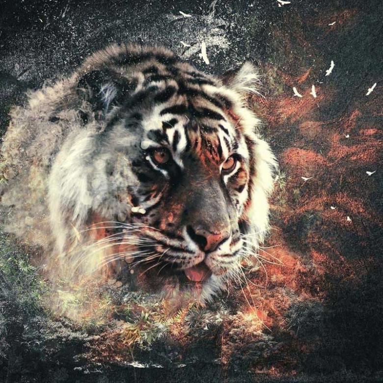 Алексей Мальованый (АлексейМальо), Kherson