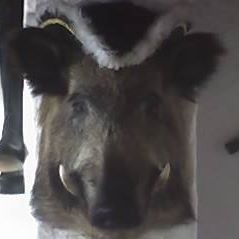 Руслан Костандов (РусланКостан), Melitopol