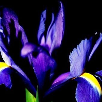 Елена Юдина (ЕленаЮдина), Kyiv