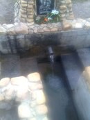 Миша. Янчук. (Миша.Янчук.), Полковице, Киев