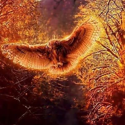 Іван Зубко (ІванЗубко)