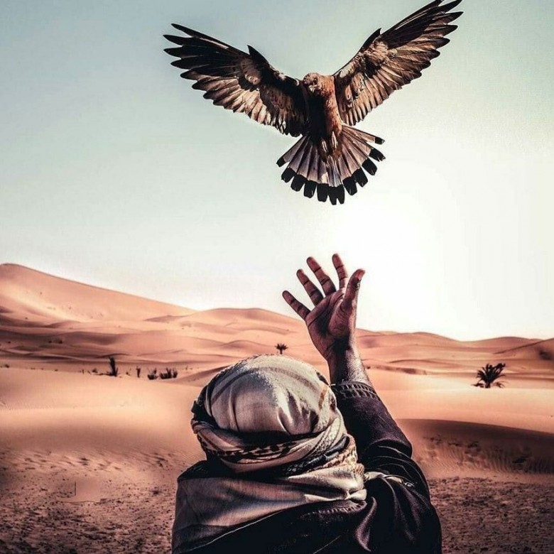 Sergey Dubyna (SergeyDubyna), Cherkasy