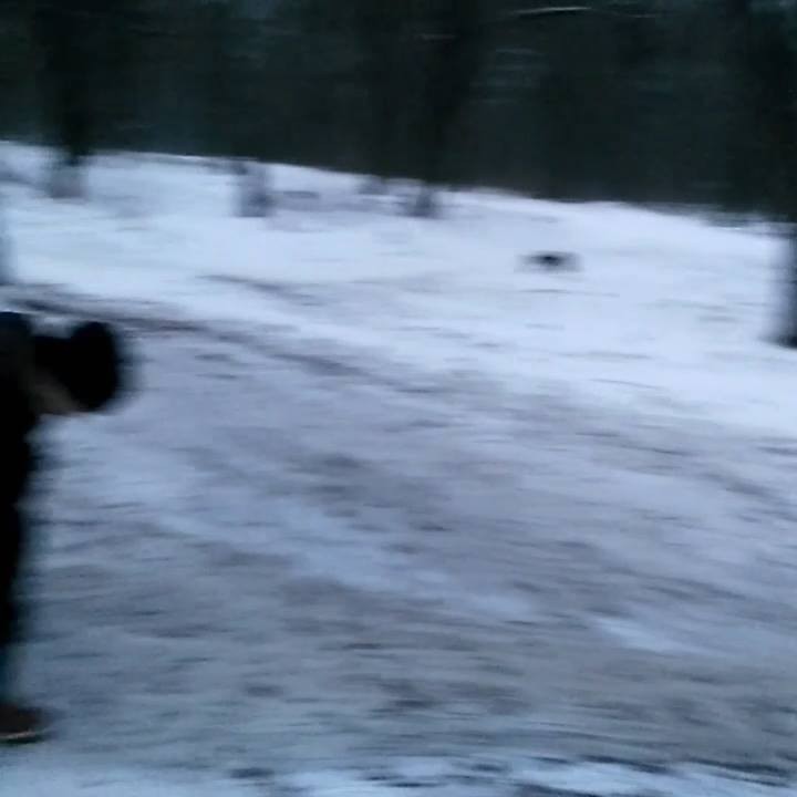 Степан Музычка (СтепанМузычк), Zgorzelec, Kamianets-Podilskyi