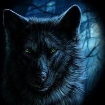 Николай Кушнерев (НиколайКушне), Kyiv