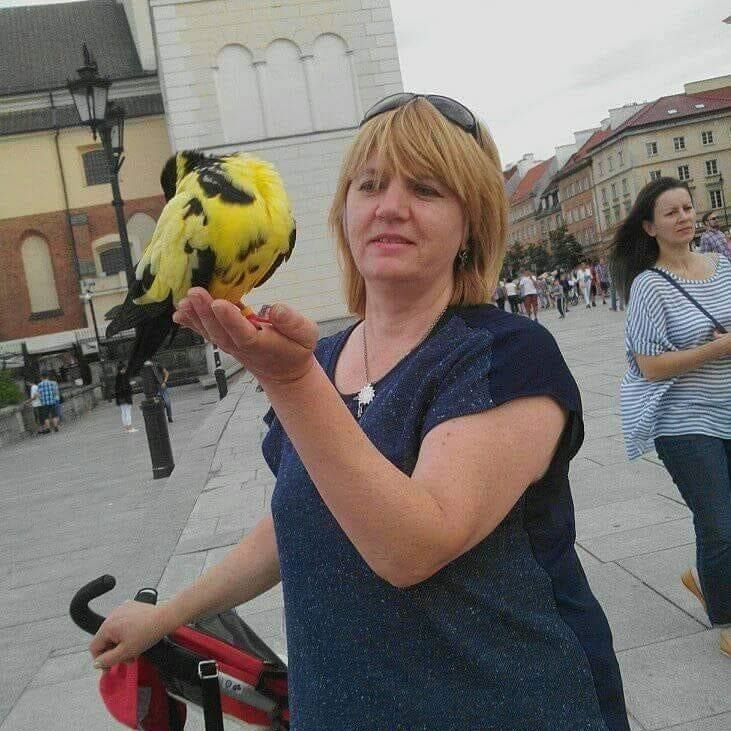 Людмила Трубило-Капустяк (ЛюдмилаТруби)