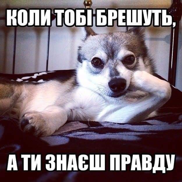 Саша007  (Саша007), Берунь, Хмельницкий