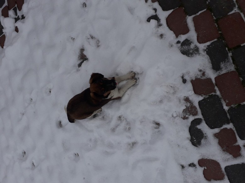 Vasyl Sobkiv (VasylSobkiv)