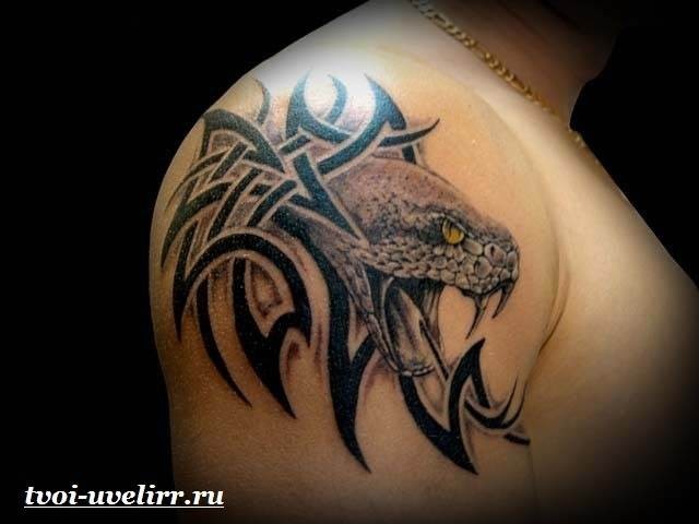 Сергій Вікторович  (Сергій Віктор), Сосновец, Кіїв