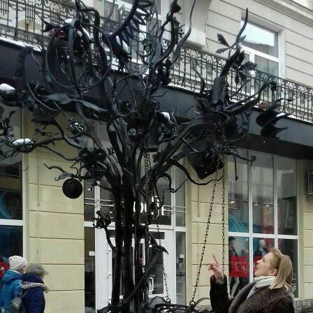 Оля (Оля), Kraków, Львів