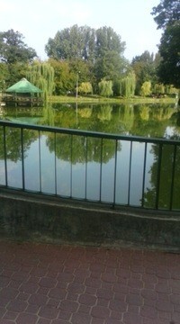 Звиад Абралава (zviad   abralava)