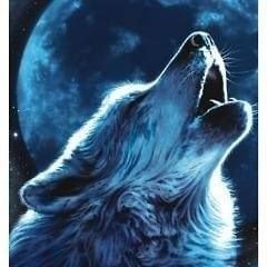 Костя Тттт (КостяТттт), Dnipro