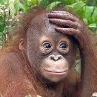 Маленькое Тупечко (МаленькоеТуп)