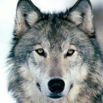 Ігорь Заіка (ІгорьЗаіка), Гдыня