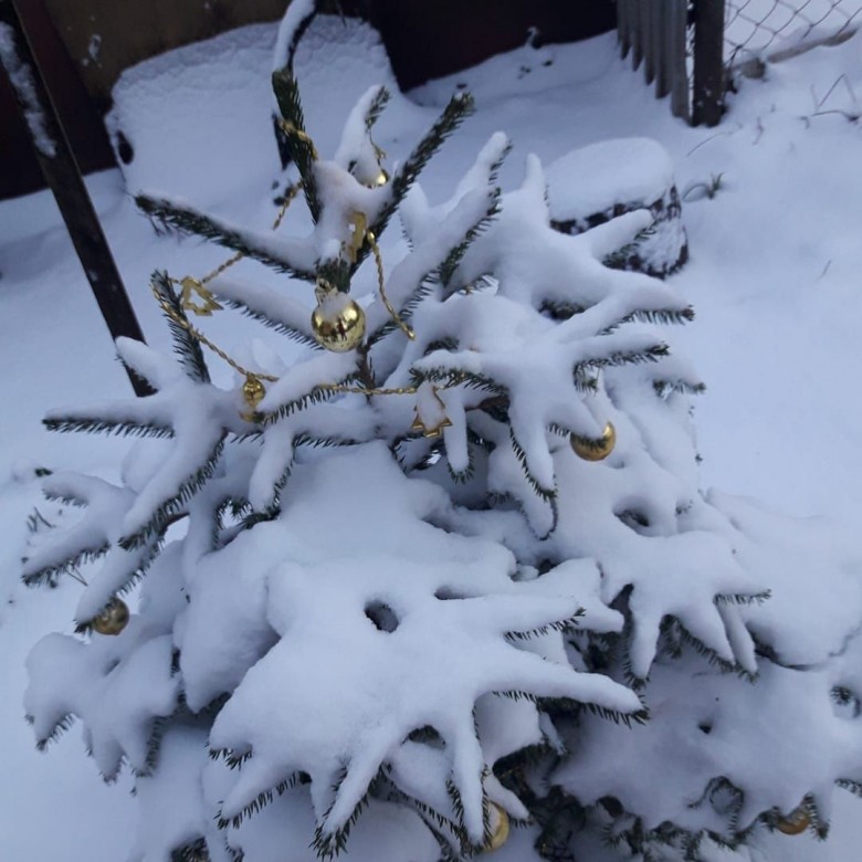 Nywa Nywa (NywaNywa), Одесса