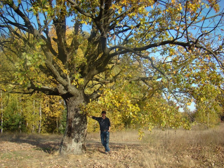 Андреей  (Андреей), Краков