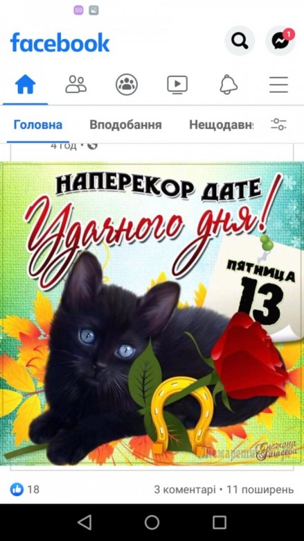 Pawok  (Pawok), Вроцлав
