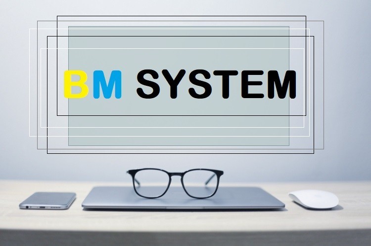 BM SYSTEM (BM SYSTEM Agencja)