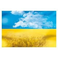 Юлія Стиренко (ЮліяСтиренко)