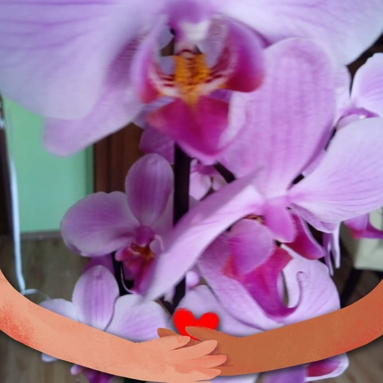 Ykrainka Ykrainochka (YkrainkaYkrainochka), Mikolow