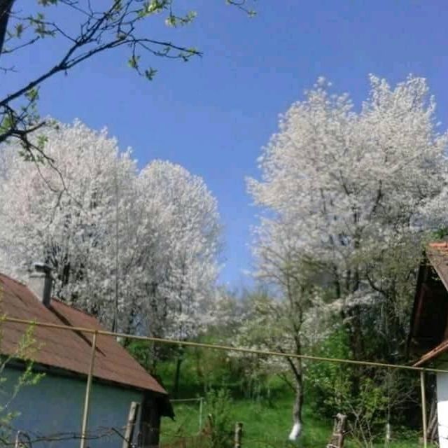 Ярослав Катинський (ЯрославКатин)
