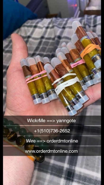 orderdmtonline  (orderdmtonline), Warszawa, kiev