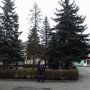 Николай Игнатенко