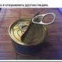 Анатолий Солонарь